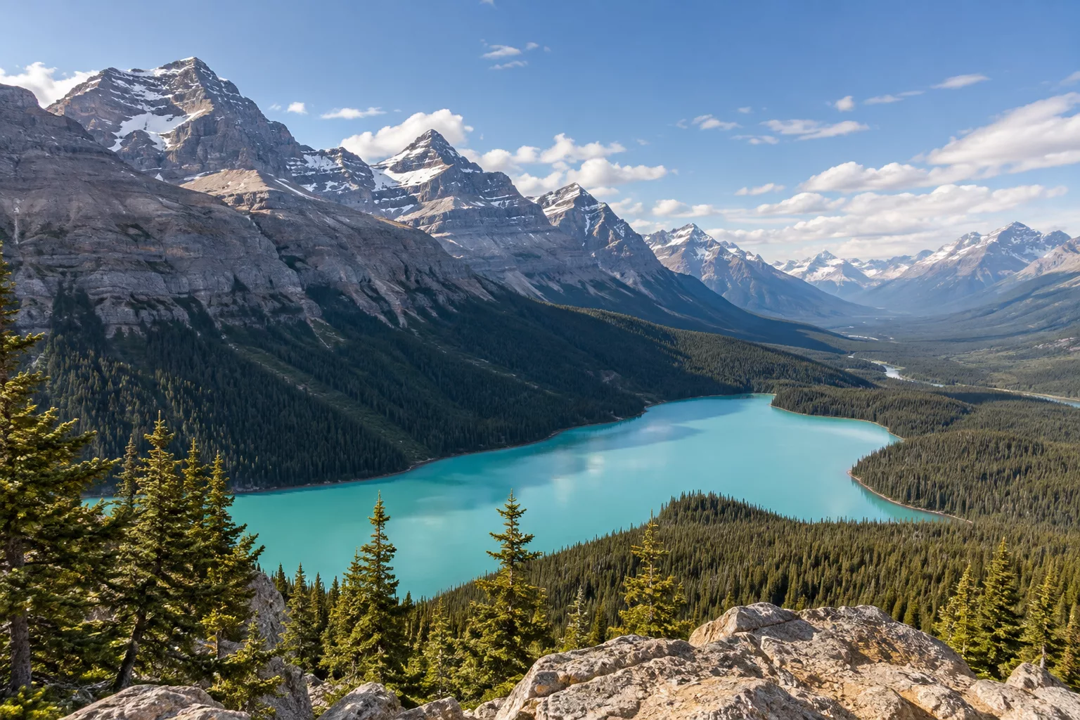 Peyto Lake from the Bow Summit viewpoint
