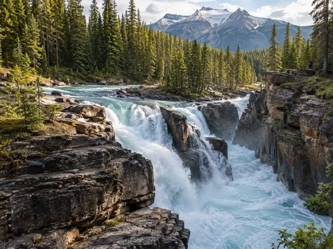 Sunwapta Falls dropping through a narrow rocky canyon