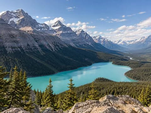 Peyto Lake viewed from Bow Summit above the Icefields Parkway