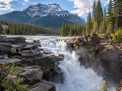 Athabasca Falls forcing whitewater through a quartzite gorge