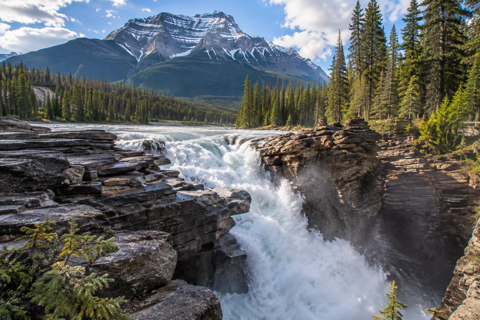 Athabasca Falls whitewater in a dark quartzite canyon